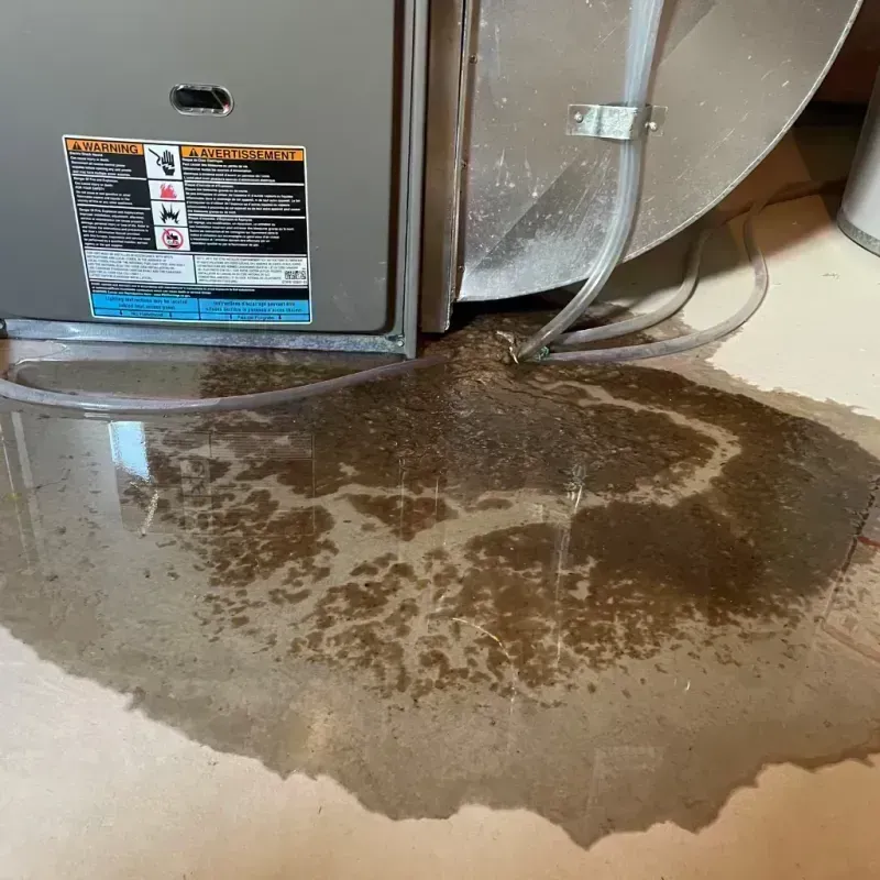 Appliance Leak Cleanup in Crystal Lawns, IL